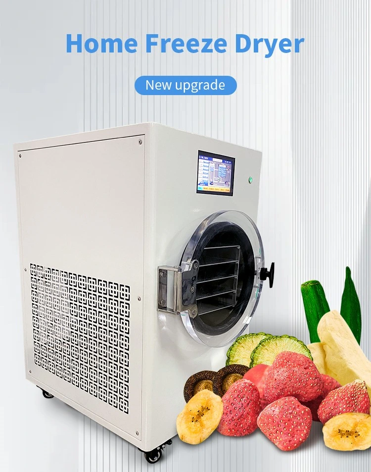 a Freeze Dryer Dehydrator Vacuum Freeze Dry Oven