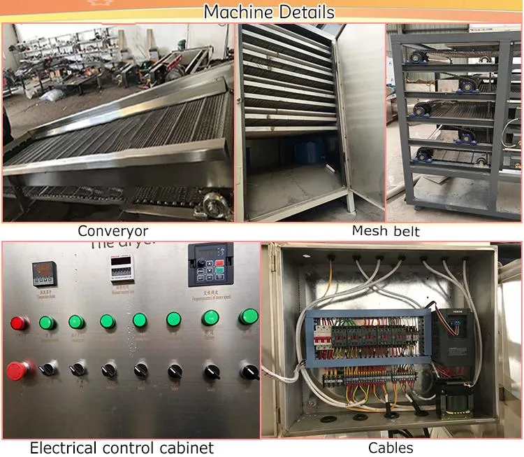 Hot Air Dryer Oven Multi-Layer Mesh-Belt Dryer for Dried Fruits and Vegetables