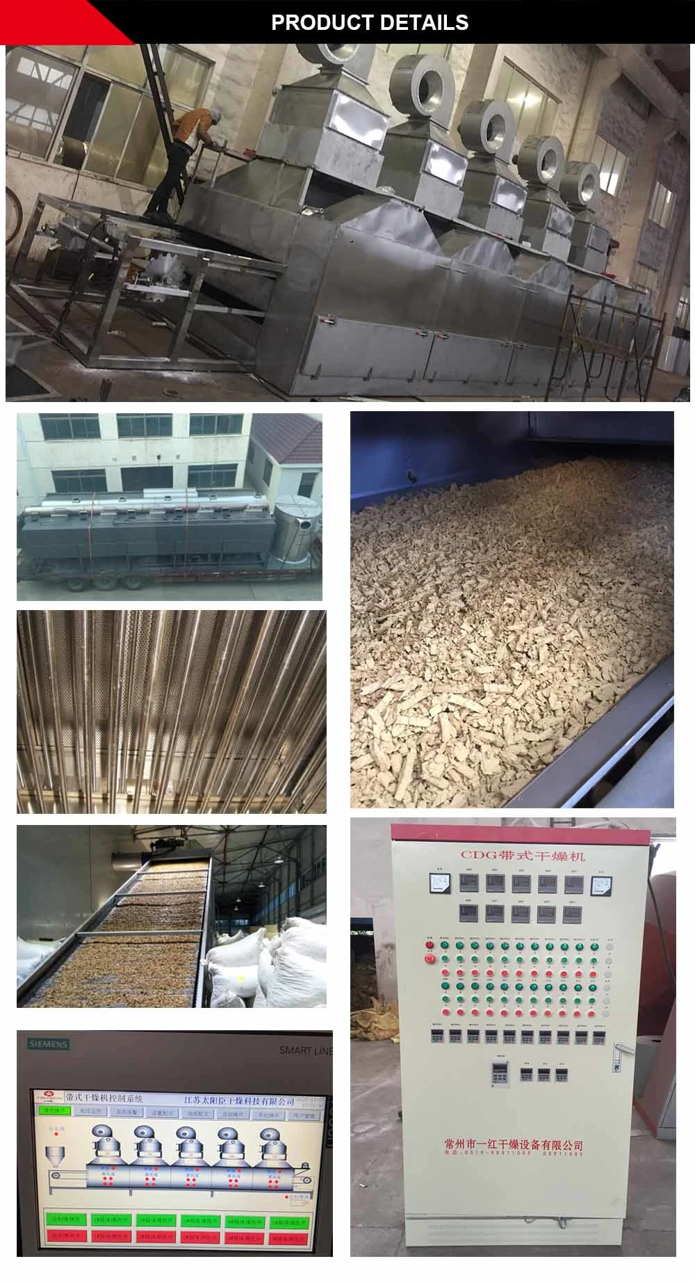 Dw Conveyor Mesh Belt Dryer for Vegetables Fruit Desiccated Coconut Plant Flower Leaf Agricultural Products Food Chemical Granule Strip Materials Drying Machine