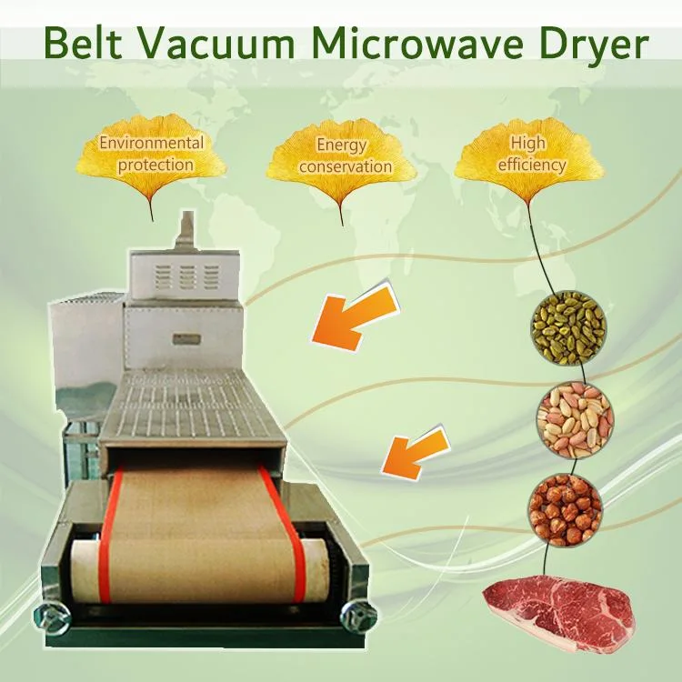 Microwave Belt Dryer Machine Food Dryer Microwave Tunnel with High Quality