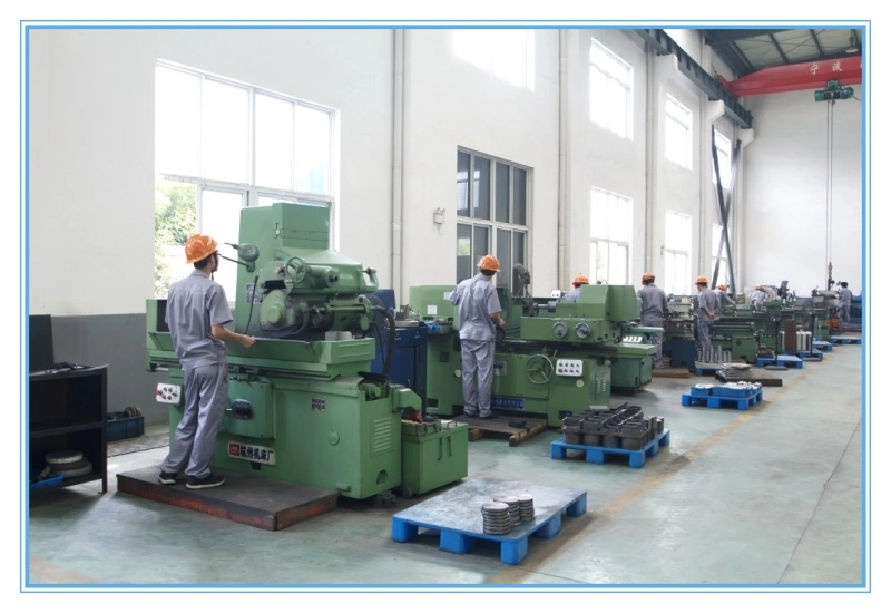Sbh-1000 Pharmaceutical Manufacturing Three Dimensional Mixer of Pills Assembly Line