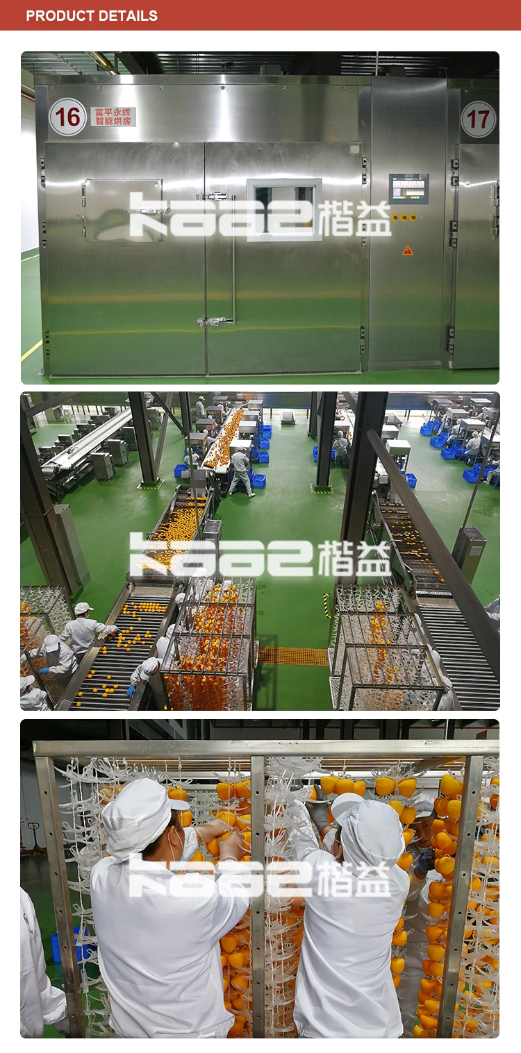 Intelligent Full-Auto Dryer/Drying Persimmon/Dates/Blueberry/Strawberry/Kiwifruit Peeling/Stemming/ Sulfur Smoking/Frost Forming/Sorting Processing Line
