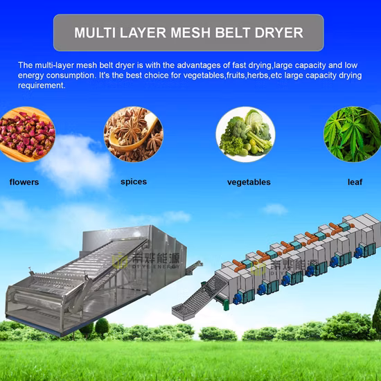 Fruits Vegetables Heat Pump Drying Machine Multi-Layer Mesh Belt Dryer
